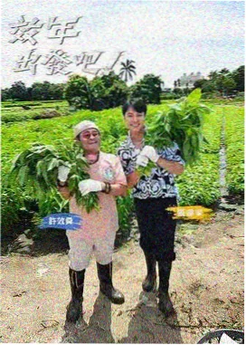 怒火保镖完整版演员阵容